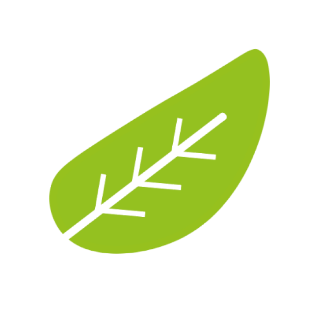 Eistee Hibiskus & Hagenbutte 0.5dl PET